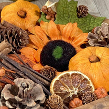 Pumpkin Spiced Sunflower Maison Fragrance Potpourri