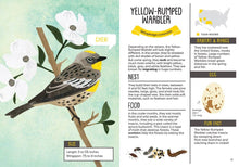 Kid’s Guide to Backyard Birds