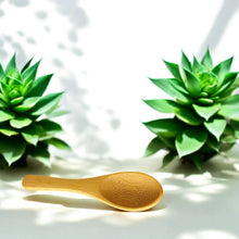 Bamboo Body Scrub Spoon , Mini Rounded Paddle