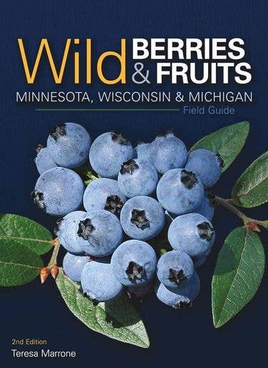 Wild Berries & Fruits of MN, WI, MI
