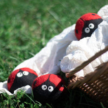 Eco Dryer Balls