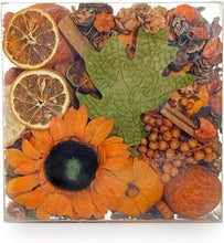Pumpkin Spiced Sunflower Maison Fragrance Potpourri
