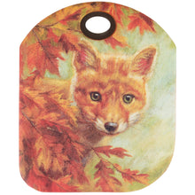 Curious Fox Bowl Scraper