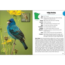 Birds of Minnesota