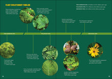 Pollinators & Native Plants for Kids