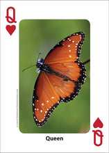 Bees & Butterflies Playing Cards