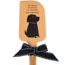 Lab For Testing Spatula