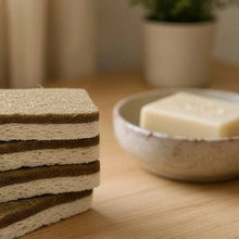 100% Plant-Based Kitchen Sponge | Coconut & Walnut Scrubber