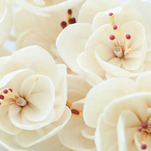 Flower Diffuser Reeds