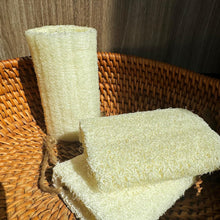 Loofah Sponge Medium