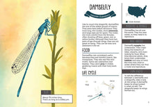 Kid’s Guide to Backyard Bugs
