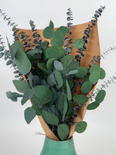 Silver Dollar & Baby Eucalyptus Preserved Bundle