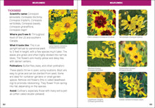 Pollinators & Native Plants for Kids