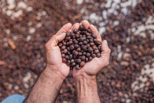 The Queens Blend Coffee -