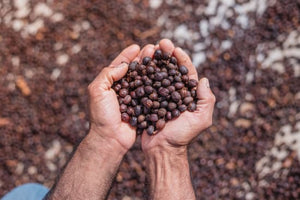 The Queens Blend Coffee -