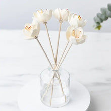 Flower Diffuser Reeds