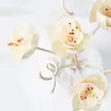 Flower Diffuser Reeds