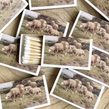 Matchbook Matches