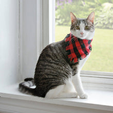 Buffalo Check Small Pet Bandana