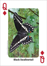Bees & Butterflies Playing Cards