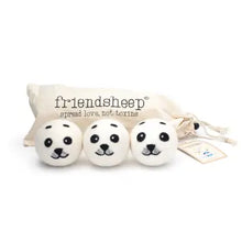 Eco Dryer Balls