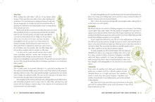 The Homestead Herbal Remedies Guide