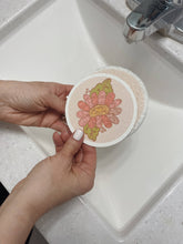 Pop-Up Eco Sponges