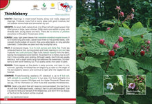 Wild Berries & Fruits of MN, WI, MI