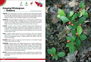Wild Berries & Fruits of MN, WI, MI
