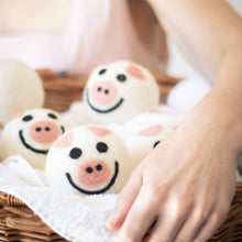 Eco Dryer Balls
