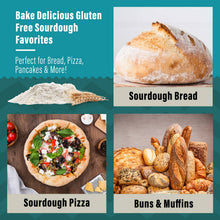 Gluten-Free Sourdough Starter Culture