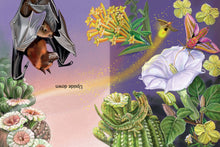 Meet the Pollinators: A Night and Day Adventure