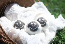 Eco Dryer Balls