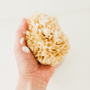 Wool Sea Sponge